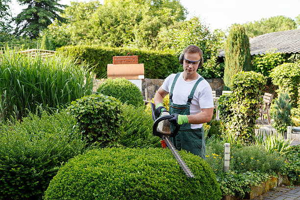 Best Tree Trimming and Pruning  in Utica, SC